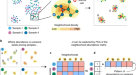 Precise identification of cell states altered in disease using healthy  single-cell references