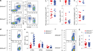 Monocyte progenitors give rise to multinucleated giant cells