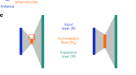 Exploring the significance of morphological diversity for