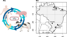 A collection of bacterial isolates from the pig intestine reveals