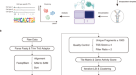 Genome-wide distribution of linker histone H1.0 is independent of MeCP2