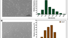 research paper on green synthesis of nanoparticles research paper on green synthesis of nanoparticles