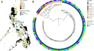 Population genomics confirms acquisition of drug-resistant