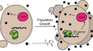 PDF) Structural and Biochemical Characterization of AaL, a Quorum Quenching  Lactonase with Unusual Kinetic Properties