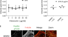 research article on mesenchymal stem cells research article on mesenchymal stem cells