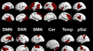 Aversive memory formation in humans involves an amygdala-hippocampus phase  code