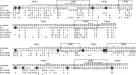 Generation and functional characterization of a single-chain variable  fragment (scFv) of the anti-FGF2 3F12E7 monoclonal antibody