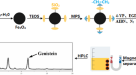 Rapid and accurate electrochemical sensor for food allergen detection in  complex foods