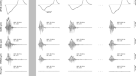 Cardiovascular responses to leg muscle loading during head-down