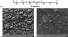 Graphene Facilitated Removal of Labetalol in Laccase-ABTS System: Reaction  Efficiency, Pathways and Mechanism