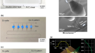 Rapid and accurate electrochemical sensor for food allergen detection in  complex foods