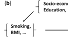 research study of smoking