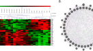 FMRP(1–297)-tat restores ion channel and synaptic function in a