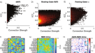 PDF) Diurnal oscillations of MRI metrics in the brains of male participants