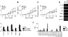 Non-canonical NFκB activation promotes chemokine expression in podocytes