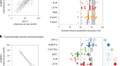 Synthesizing theories of human language with Bayesian program induction