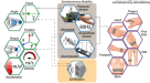 The effect of fidget spinners on fine motor control