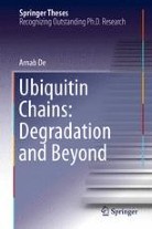 【Itami】アダムHelmstetter、BSP-Series2本まとめ Springer Theses | Book titles in this series