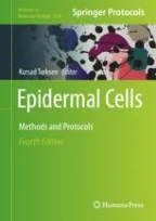 Scratch Wound Healing Assay | Springer Nature Link