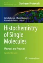 Staining Starch with Iodine Solution | Springer Nature Link