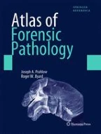 Sharp Force Injury Deaths | Springer Nature Link