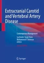 Ecvd Physiology of the Cerebrovascular System | Springer Nature Link