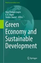 A Critical Analysis of the Green Economy: Progress and Challenges in ...