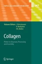 Structure, Stability and Folding of the Collagen Triple Helix ...