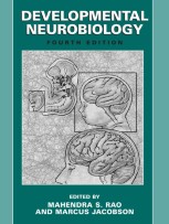 洋書 Developmental Social Neuroscience 洋書 Developmental Social Neuroscience 洋書 Developmental