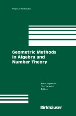 Geometric Methods in Algebra and Number Theory | SpringerLink