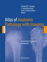 病理組織免許皆伝 : CD-ROM atlas of pathology Atlas of Gynecologic Pathology: A Pattern-Based Approach