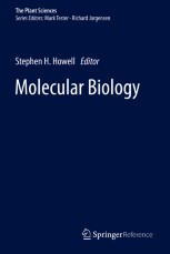 語学+参考書 Molecular Biology Amazon.com: Molecular Biology: Principles of Genome Function