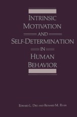 インディーズオムニバスCD INTRINSIC MOTIVATION Intrinsic Motivation and Self-Determination in Human Behavior
