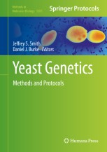 Yeast Genetics: Methods and Protocols | Springer Nature Link