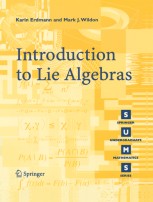洋書 lie groups beyond an introduction Lie Groups: Beyond an Introduction: Knapp, Anthony W
