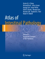 Atlas of Intestinal Pathology: Volume 1: Neoplastic Diseases
