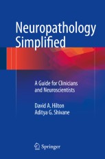 NEUROSCIENCE 第5版 リング製本版 NEUROSCIENCE 第5版 リング製本版