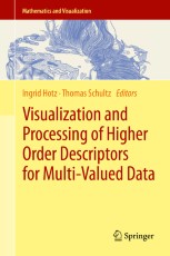 Visualization and Processing of Higher Order Descriptors for Multi