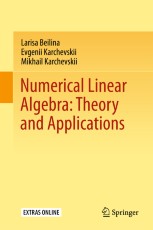 Numerical Linear Algebra: Theory and Applications | Springer