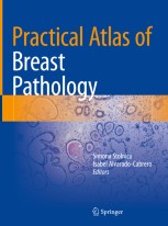 健康・医学 Atlas of Breast Surgical Techniques Atlas of breast surgical techniques - Journal of Plastic