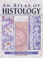 即納!最大半額! An Atlas of Histology | SpringerLink 洋書、外国語書籍