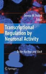 あい CREB-Dependent Transcription and Synaptic Plasticity