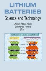 Carbonaceous and Graphitic Anodes | SpringerLink