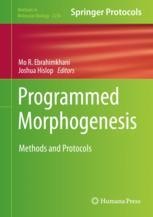 Programmed Morphogenesis: Methods and Protocols | Springer Nature Link