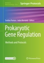 Detecting DNA Methylations in the Hyperthermoacidophilic