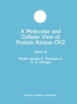 A Molecular and Cellular View of Protein Kinase CK2 | SpringerLink