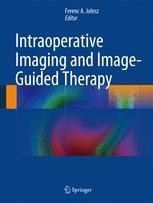Intraoperative Imaging and Image-Guided Therapy | Springer Nature Link