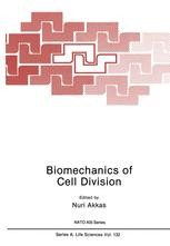 Biomechanics of Cell Division | SpringerLink