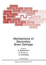 Mechanisms of Secondary Brain Damage | Springer Nature Link