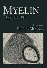 Animal Models of Genetic Disorders of Myelin | SpringerLink